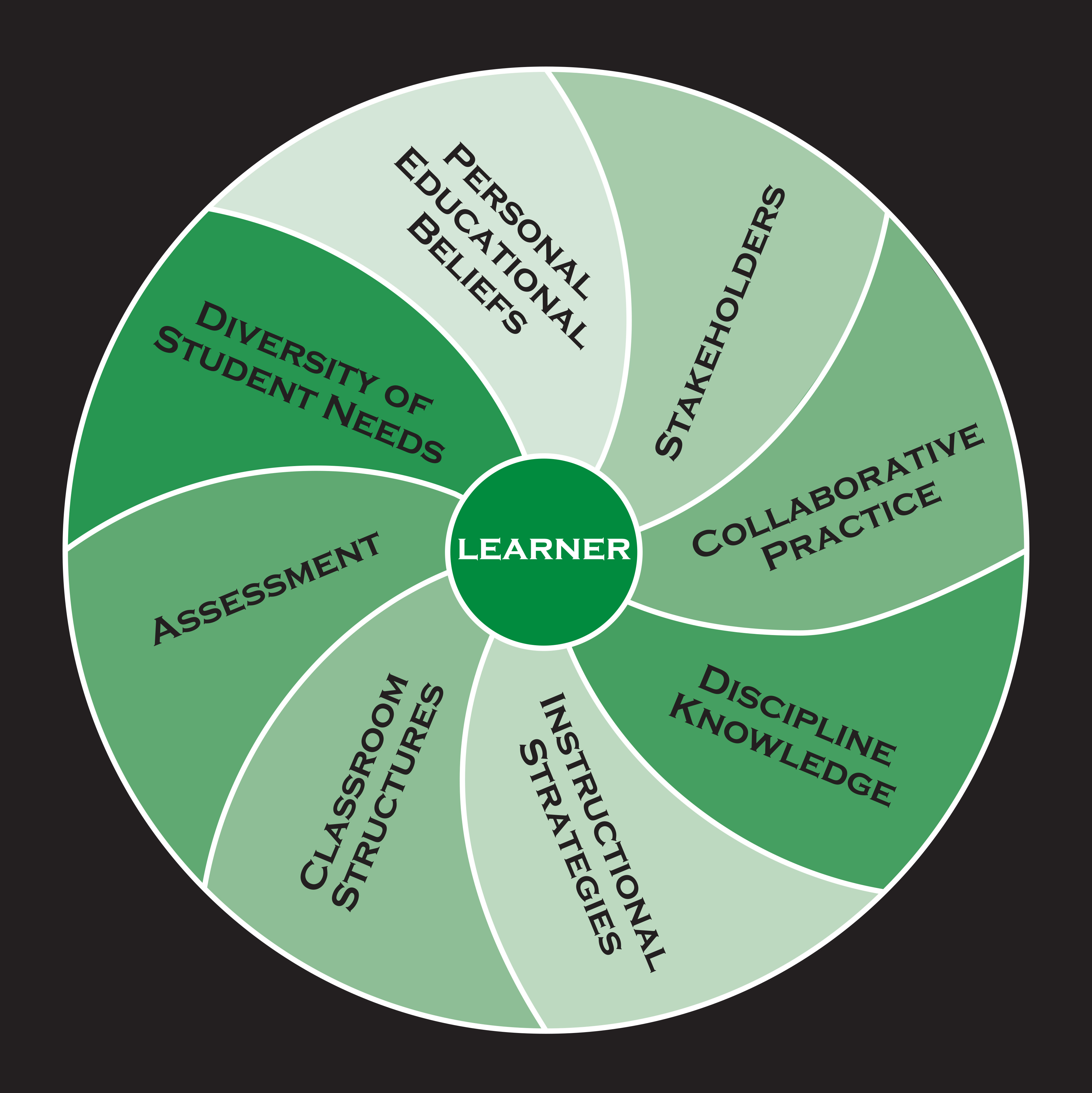 A graphic image depicting the learner in a circle in the middle. Surrounding the learner in equal sections are Stakeholders, Collaborative Practice, Discipline Knowledge, Instructional Strategies, Classroom Structures, Assessment, Diversity of Student Needs, Personal Education Beliefs.